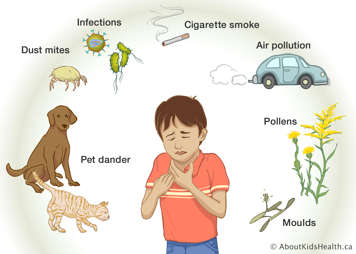 Pet dander, dust mites, infections, cigarette smoke, air pollution, pollens and moulds