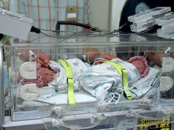 Bébés prématurés dans un incubateur pour le transport