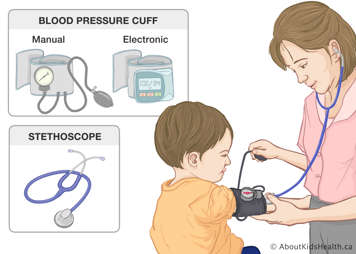 Manual and electronic blood pressure cuffs and a stethoscope