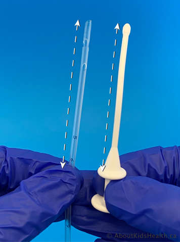 A catheter being measured against an obturator