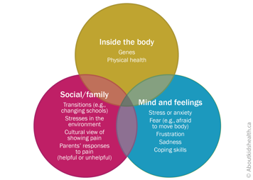 Diagram of physical, emotional and social factors that influence pain