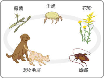 霉菌、尘螨、花粉、宠物毛屑及蟑螂示意图