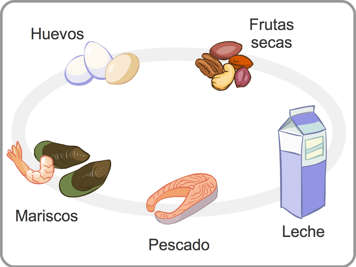 Ilustración mostrando huevos, frutos secos, marisco, pescado y leche