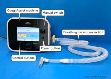 A cough assist machine with a breathing circuit connection