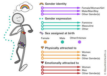 A grey stick person with gender identity at the head, sex at the groin, sexual orientation at the heart and gender expression all encompassing.