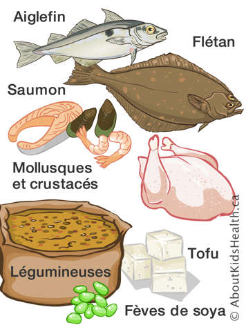 Fruits de mer, poulet, légumineuses et tofu