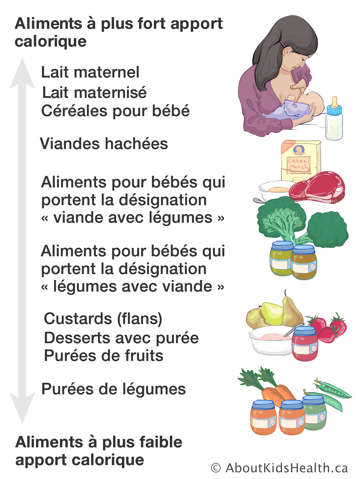 Échelle des aliments à plus faible apport calorique aux aliments à plus fort apport calorique