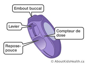 L’embout buccal, le levier, le repose-pouce et le compteur de dose d’un inhalateur Diskus