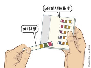 pH試紙,以及pH值顏色比對板