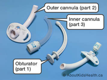 Obturator, outer cannula and inner cannula of a three-part tracheostomy tube