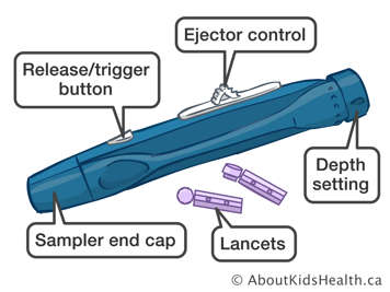 Depth setting, ejector control, release/trigger button and sampler end cap on a blood sampler and lancets