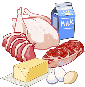 Saturated fat food examples, including meats, eggs, butter and milk