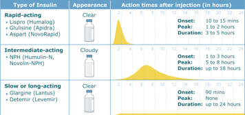 Table showing the different types of insulin, their appearance and their action times after injection in hours