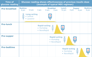 Graph showing effectiveness of insulin doses at different times of the day following a typical MDI regimen