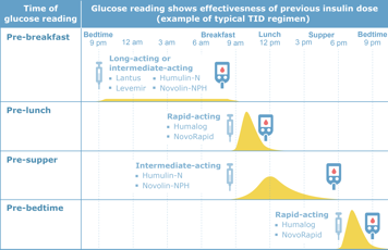 Graph showing effectiveness of insulin doses at different times of the day following a typical TID regimen