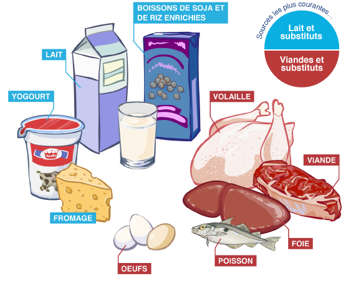Des produits laitiers et substituts et des viandes et substituts contenant la vitamine B12