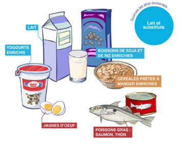 Des produits laitiers et substituts contenant la vitamine D