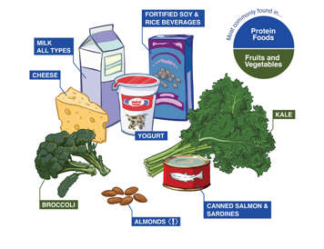 Milk products and alternatives and vegetables and fruits containing calcium