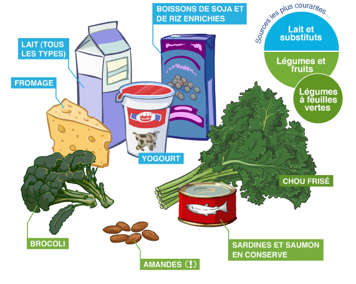 Des produits laitiers et substituts et des légumes et fruits contenant le calcium
