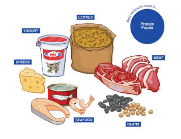 Milk products and alternatives and meats and alternatives containing zinc