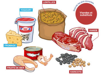 Des produits laitiers et substituts et des viandes et substituts contenant le zinc