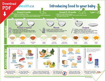 Introducing food to baby download PDF