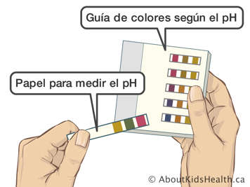 Papeles indicadores del pH y una guía de colores según el pH