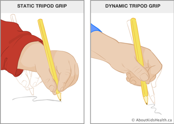 Illustration of static tripod grip and dynamic tripod grip on a pencil