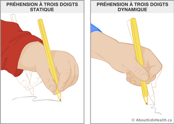 Illustration de la préhension à trois doigts statique et de la préhension à trois doigts dynamique d’un crayon
