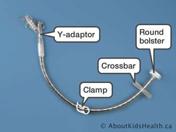 Y-adaptor, crossbar and round bolster on a T-bar/crossbar fixation device