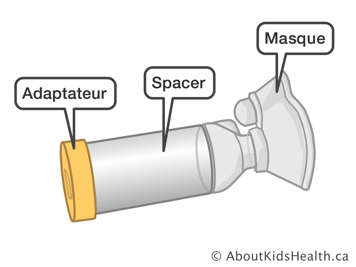L’adaptateur, le spacer et le masque d’un tube d’espacement avec masque