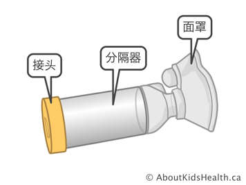 储雾罐的接头、分隔器和面罩，储雾罐带有用于给药的接口管