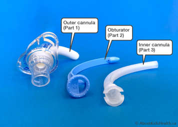 The three parts of a three-part tracheostomy tube, the outer cannula, obturator and the inner cannula