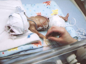 Extremely premature baby lying in isolette with parent holding hand