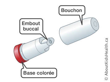 L’embout buccal, la base colorée et le bouchon d’un inhalateur Turbuhaler